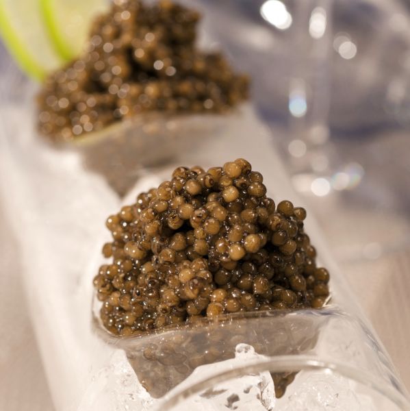 Störcaviar "SEIFARTH-ALBA" 50 g