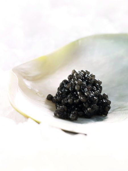 Seifarth's Beluga Caviar 50 g